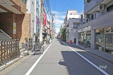 敷地南東側の前面道路（南西側から）