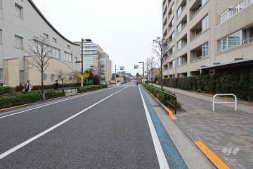 敷地東側の前面道路（北側から）