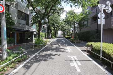 敷地西側の前面道路（北側から）
