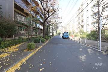 敷地東側の前面道路　