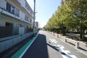 敷地西側の前面道路（北側から）
