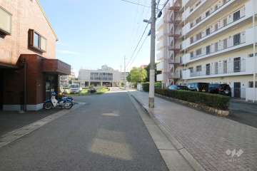 敷地北側の前面道路（西側から）