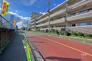 敷地西側の前面道路（南側から）