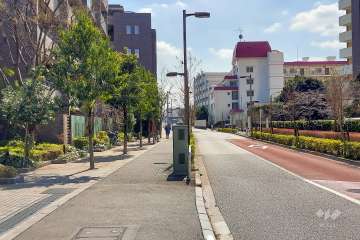 敷地西側の前面道路