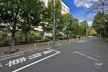 敷地西側の前面道路（北側から）