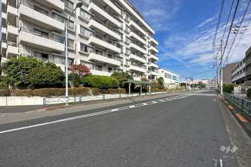 敷地南側の前面道路（西側から）