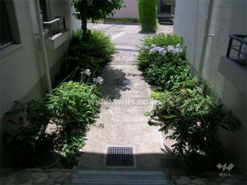 敷地内の通路。植栽スペースが各所に設けられています。