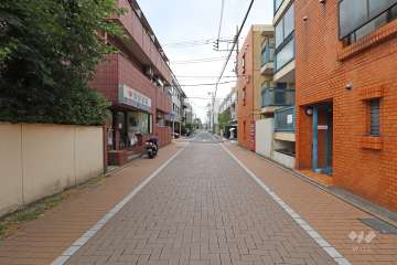 敷地北側の前面道路(西側から)