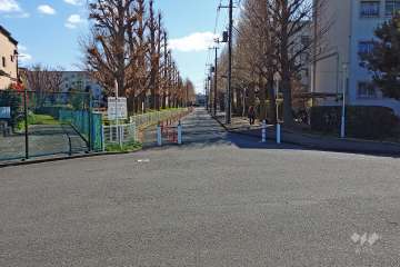 敷地東側の前面道路(北側から)