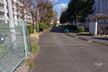 敷地南側の前面道路(東側から)