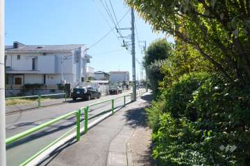 敷地の東側前面道路（北側から）