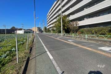 敷地南西側の前面道路（南東側から）
