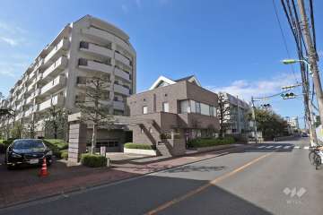 敷地北側の前面道路