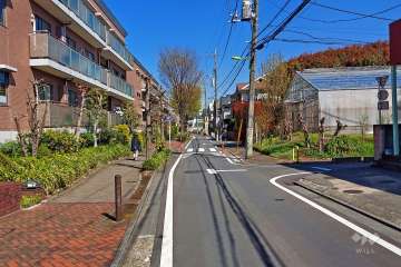 敷地東側の前面道路(南側から)