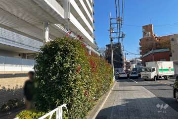 敷地南西側の前面道路（北西側から）