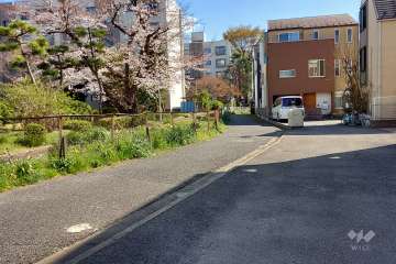 敷地西側の前面道路(北側から)