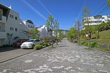 敷地北側の前面道路（西側から）