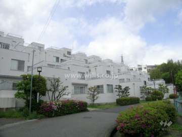 ひな壇型の外観