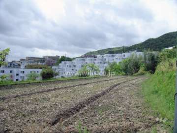 すぐ東側には田畑が広がっています。