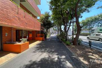 敷地南西側の前面道路