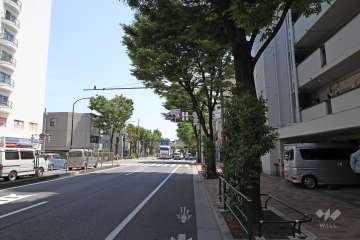 敷地北東側の前面道路（北西側から）
