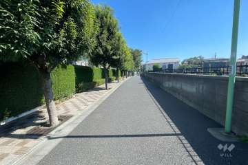 敷地南側の前面道路（西側から）