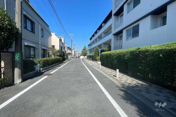 敷地西側の前面道路（南側から）