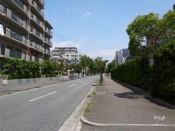 敷地の東側前面道路。周辺には住宅の他、工場もあります。