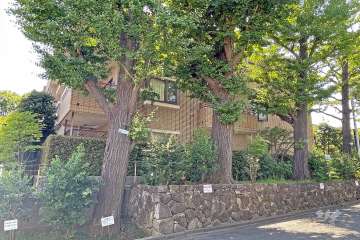 ヒルズ学芸大学の外観（西側から）