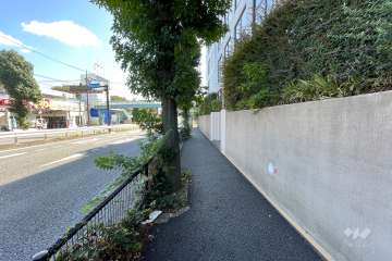 敷地北側の前面道路