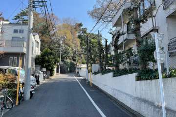 敷地の北西側前面道路（南西側から）