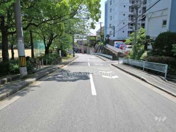 敷地北側の前面道路。道を挟んで、『豊楽公園』があります。
