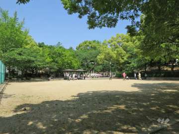 緑豊かな『豊楽公園』