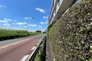 敷地南西側の前面道路（南東側から）