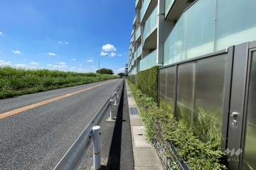 敷地南西側の前面道路（南東側から