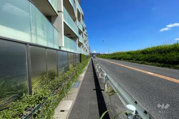 敷地南西側の前面道路（北西側から）