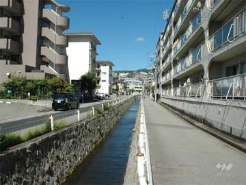 敷地の南側には水路が流れています。
