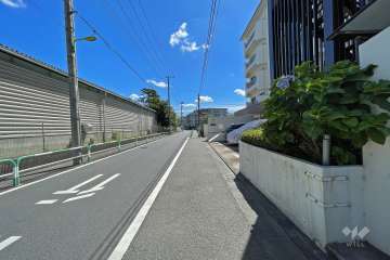 敷地北側の前面道路（西側から）