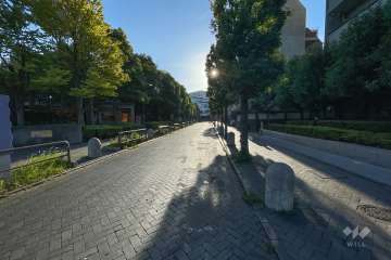 敷地南側の前面道路（東側から）