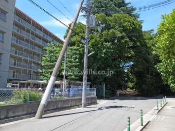 敷地の東側には熊野神社があります。