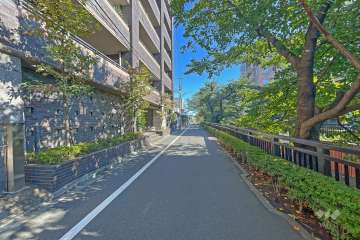 敷地南西側の前面道路（東側から）