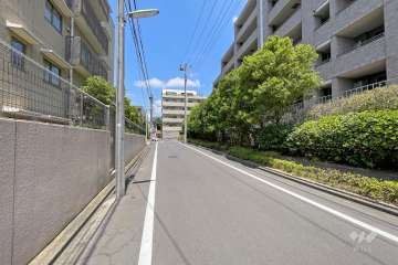 敷地西側の前面道路（南側から