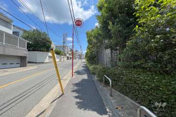 敷地北側の前面道路（西側から）