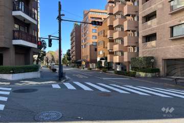 敷地北側の前面道路