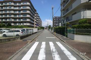 敷地西側の前面道路（南側から）