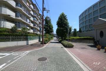 敷地南側の前面道路（西側から）