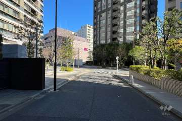 敷地の南側前面道路（西側から）