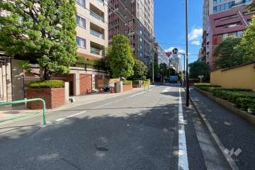 敷地の南東側前面道路（南西側から）