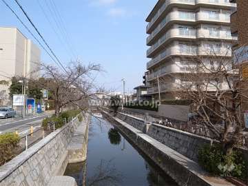 敷地の西側には川が流れています。