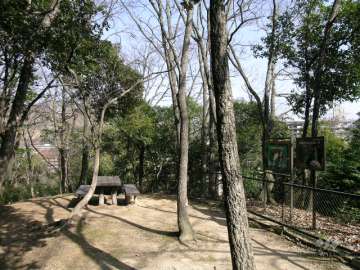 敷地と隣接する保護樹林